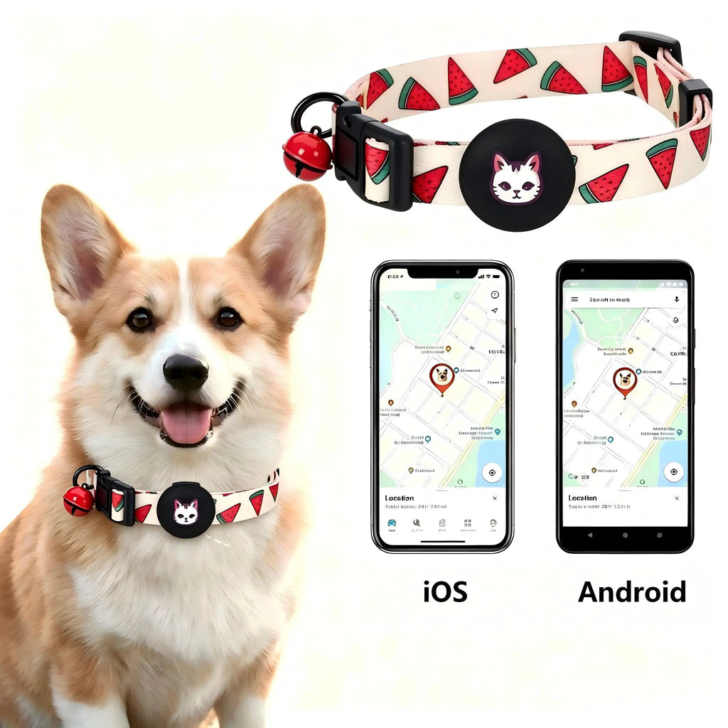 Smart GPS Tracker for pet collar to use dog and Cat GPS Tracker Real-time Positioning Alarm pet Tracker collar(Android & iOS)
