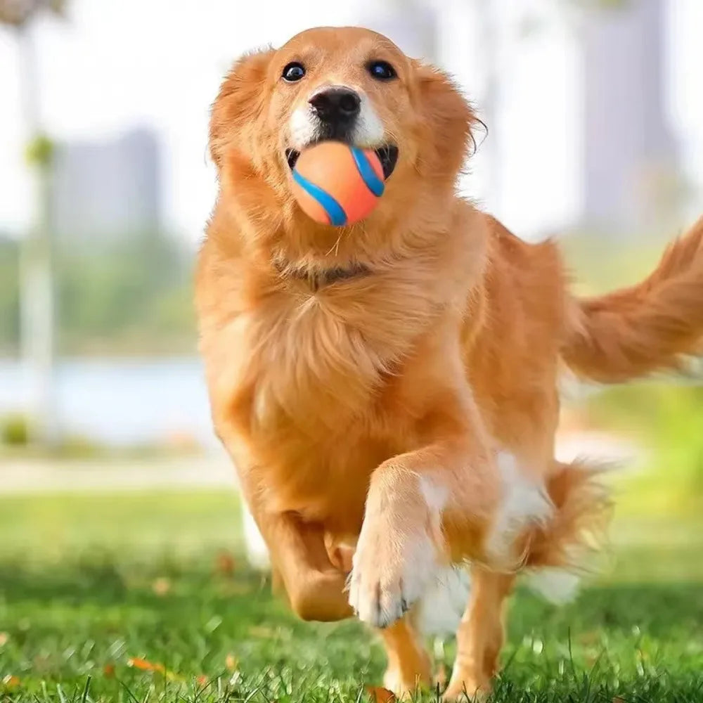 Tough Dog Fetch & Chew Ball — Solid Elastic Toy for Large, Medium & Small Dogs