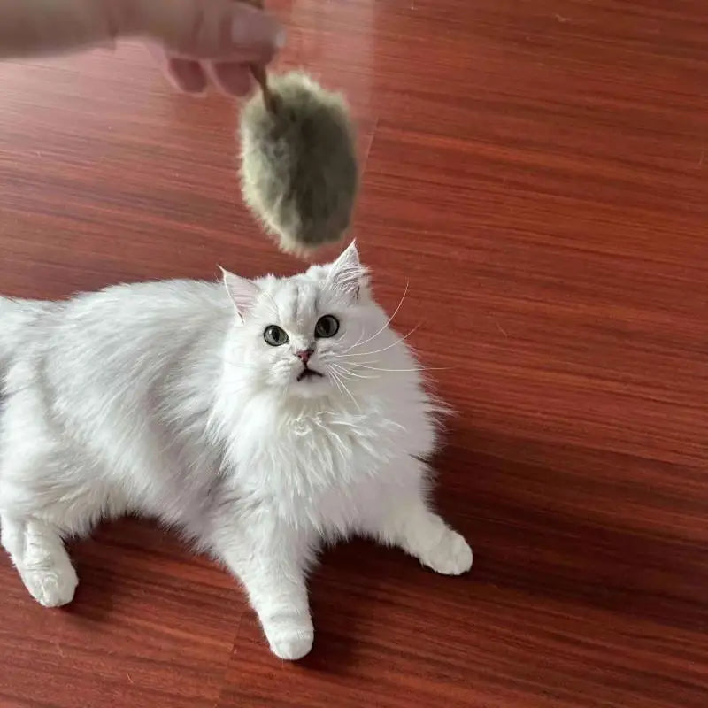 Cat Self Entertainment Toy Realistic Plush Squeaking Mouse Interactive Play Mice Boredom Buster Kitten Fun Activity