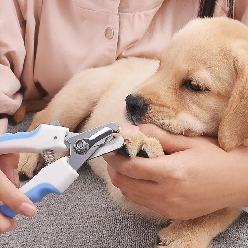 Pet Supplies Grooming Tools for Animals Pet Dog Cat Nail Toe Claw Clippers Scissors Trimmer Pet Nail Clipper Scissors