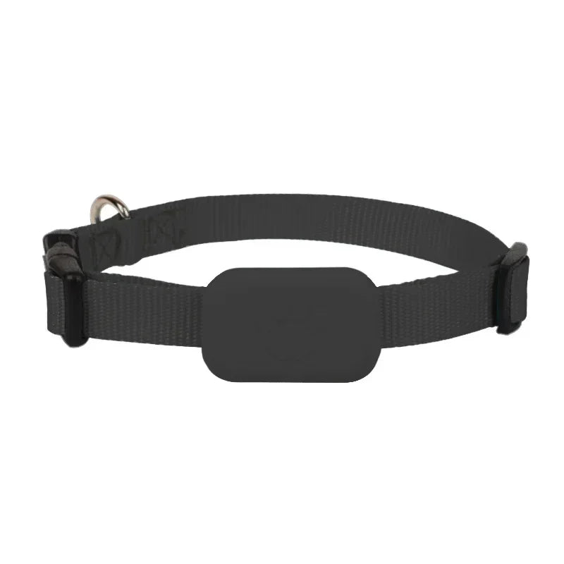 PawTrack Mini GPS Tracker for Dogs & Cats — Waterproof & Lightweight