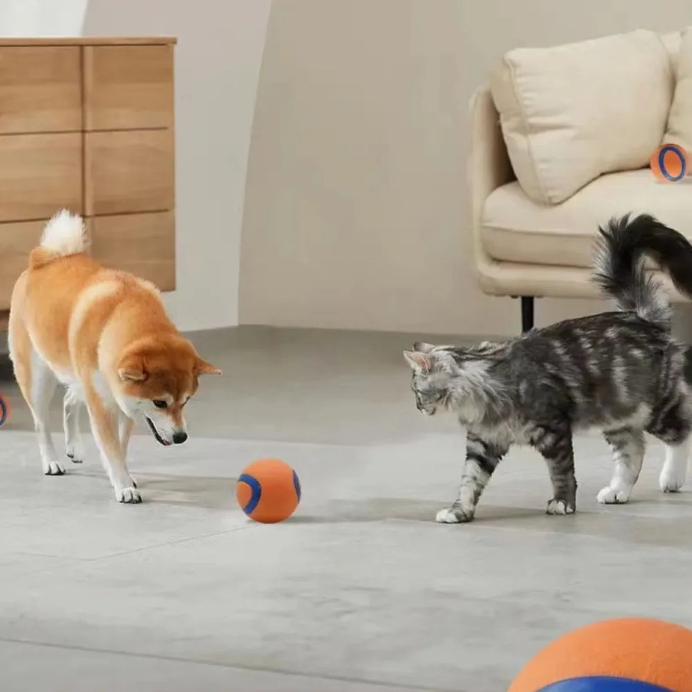 Tough Dog Fetch & Chew Ball — Solid Elastic Toy for Large, Medium & Small Dogs