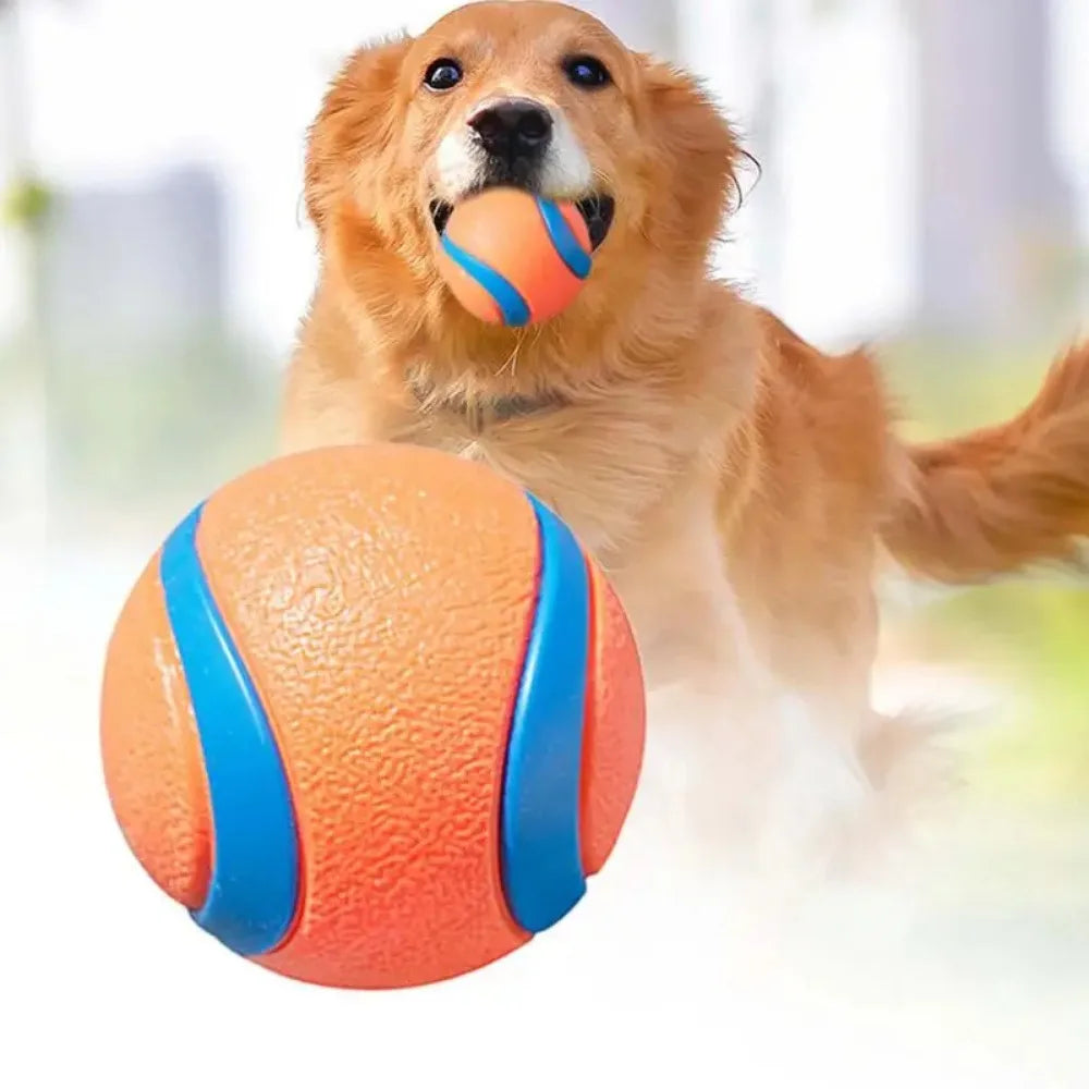 Tough Dog Fetch & Chew Ball — Solid Elastic Toy for Large, Medium & Small Dogs
