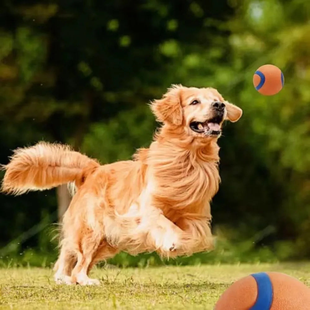 Tough Dog Fetch & Chew Ball — Solid Elastic Toy for Large, Medium & Small Dogs
