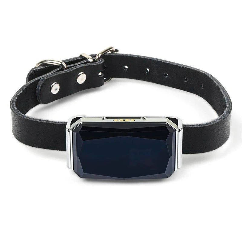 Pet GPS Tracker Location Adjustable Collar Anti-Lost Smart Real-Time Call Remote Control GPS Locator for Dogs Cats Sheep