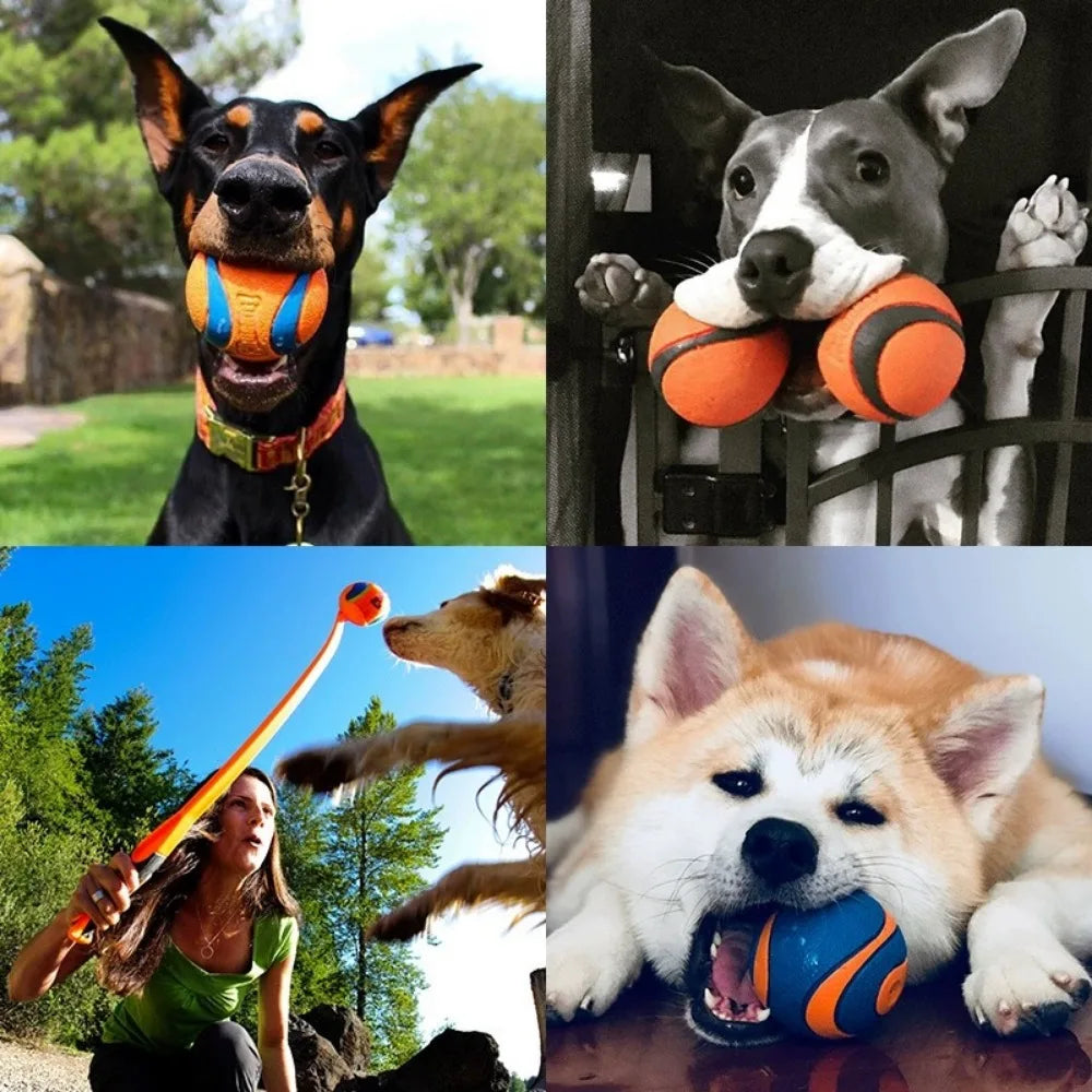 Tough Dog Fetch & Chew Ball — Solid Elastic Toy for Large, Medium & Small Dogs