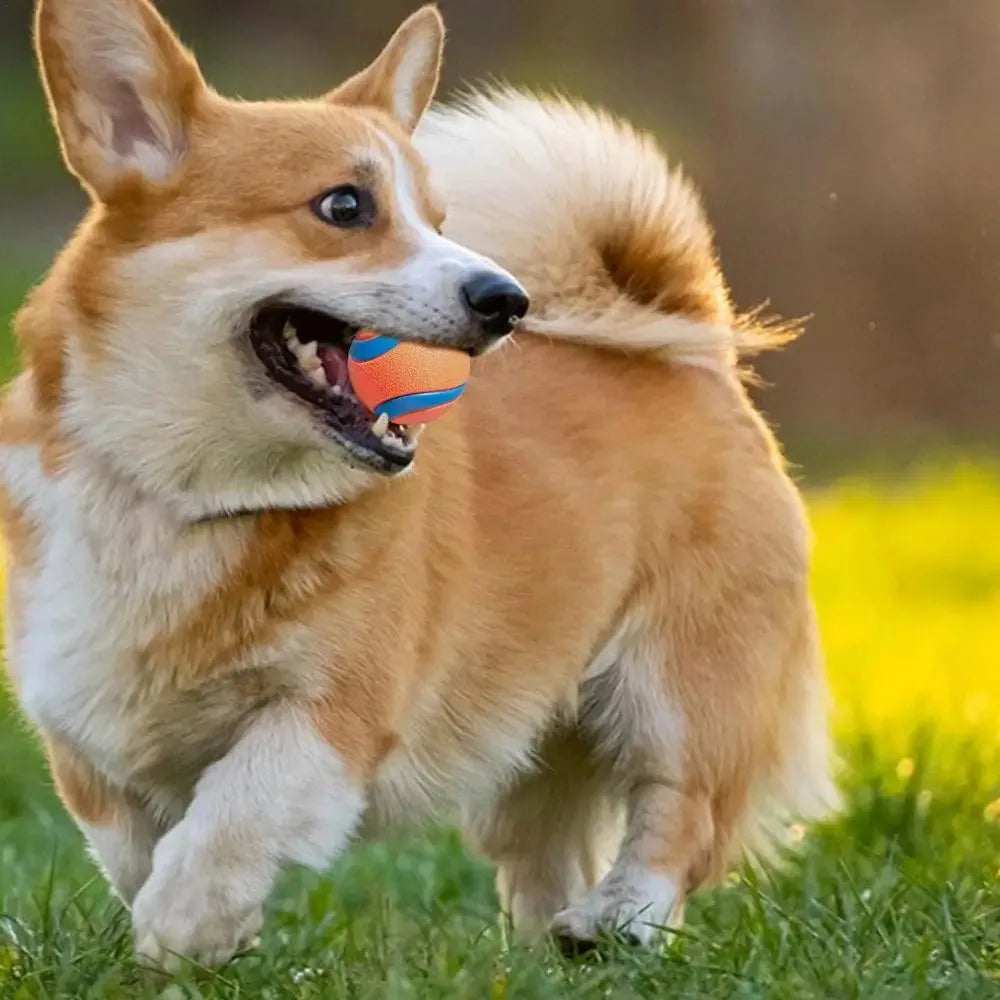 Tough Dog Fetch & Chew Ball — Solid Elastic Toy for Large, Medium & Small Dogs