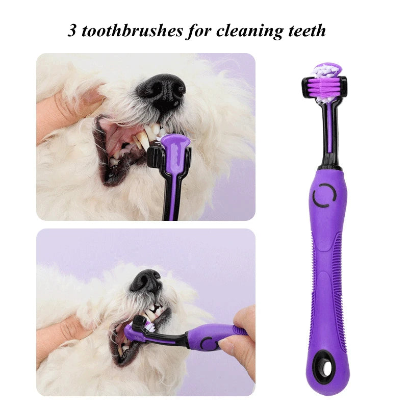 9 in 1 Pet Grooming Kit Hair Removal Comb Dog Gloves Shampoo Brush Nail Clippers Toothbrush Set for Dogs Cats Grooming Supplies